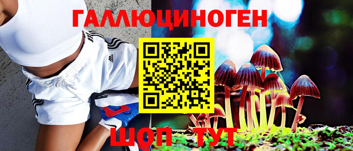 Галлюциногенные грибы Cubensis  Галлюциногенные грибы Psilocybe  Вход с VPN  Гусиноозёрск 