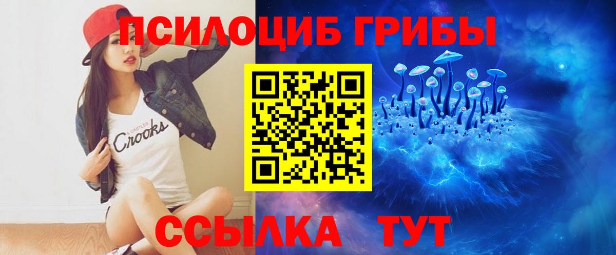 Псилоцибиновые грибы MAGIC MUSHROOMS Гусиноозёрск